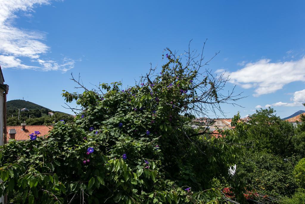Apartment Tranquilo Dubrovnik Exterior foto